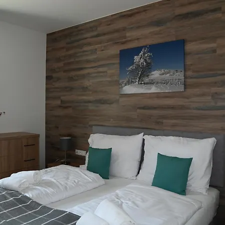 Koeniguv Mlyn Loučná pod Klínovcem