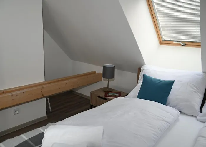 بيت ضيافة Koeniguv Mlyn Loučná pod Klínovcem