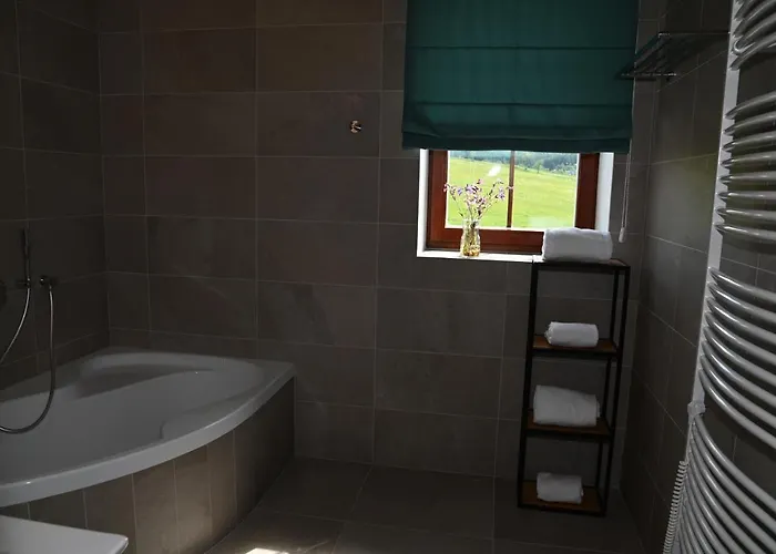 بيت ضيافة Koeniguv Mlyn Loučná pod Klínovcem