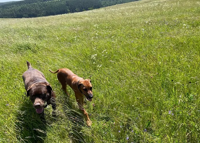 Koeniguv Mlyn بيت ضيافة