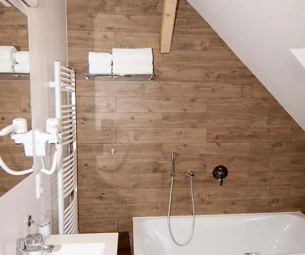 Koeniguv Mlyn 3* Loučná pod Klínovcem