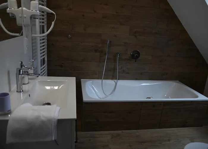 بيت ضيافة Koeniguv Mlyn Loučná pod Klínovcem