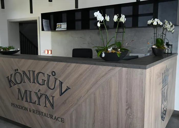 Koeniguv Mlyn بيت ضيافة Loučná pod Klínovcem